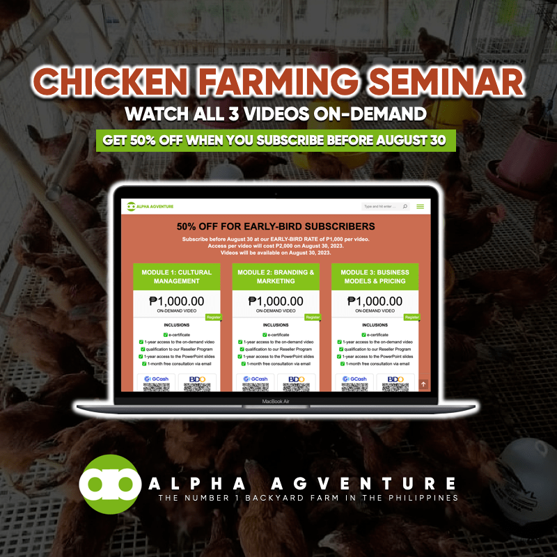 chicken farming seminar videos on demand by Alpha Agventure
