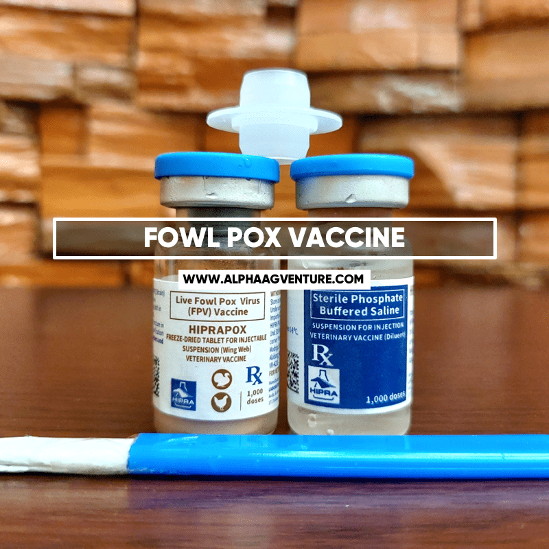 buy-fowl-pox-vaccine-for-sale-in-the-philippines