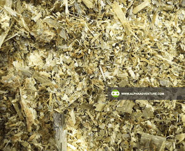 Buy Fermented Napier Silage for Sale from Alpha Agventure Farms