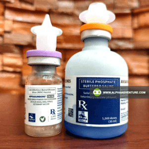 Buy Gumboro Vaccine for Sale from Alpha Agventure Farms