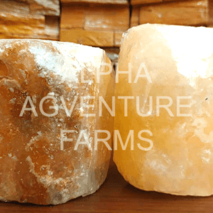 Buy Himalayan Salt Lick for Sale in the Philippines