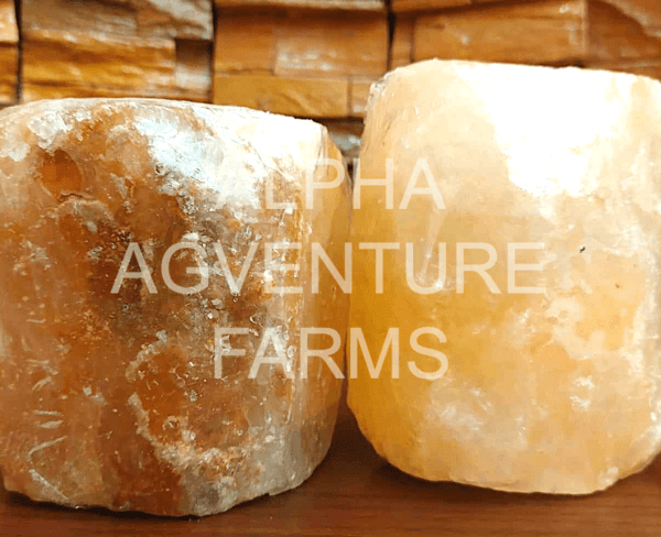 Buy Himalayan Salt Lick for Sale in the Philippines