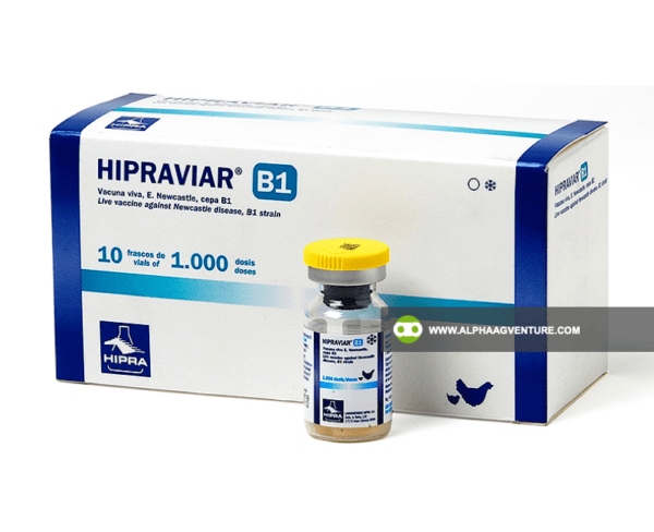 Buy Newcastle Disease B1B1 Vaccine for Sale from Alpha Agventure Farms