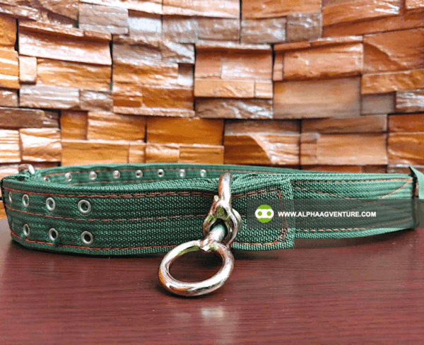 Buy Animal Neck Collars for Sale from Alpha Agventure Farms