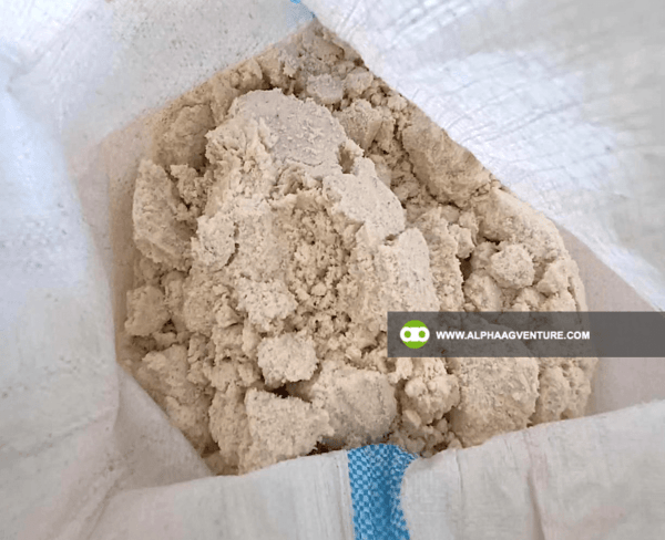 Buy Fermented Soya Pulp for Sale from Alpha Agventure Farms