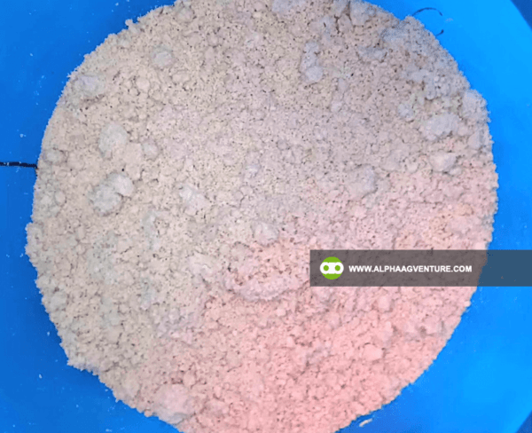 Buy Fermented Soya Pulp for Sale from Alpha Agventure Farms