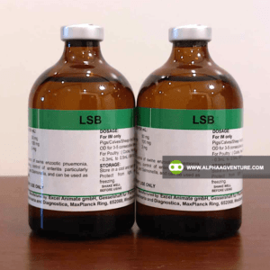 Buy LSB for Sale from Alpha Agventure Farms