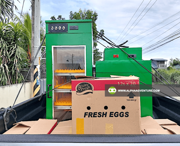 Buy an Egg Incubator for Sale from Alpha Agventure Farms