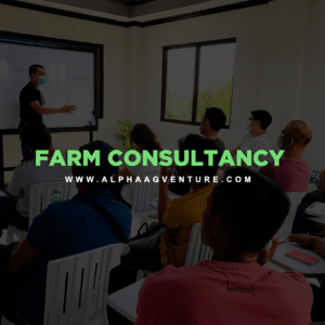 Farm Consultancy Service by Alpha Agventure Farms