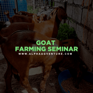 Goat Farming Seminar by Alpha Agventure Farms