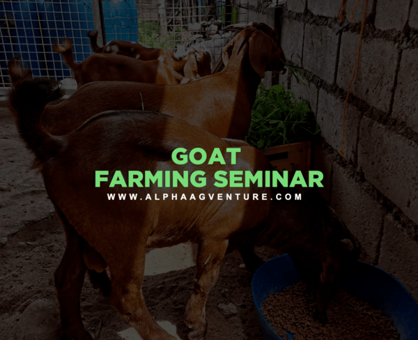 Goat Farming Seminar by Alpha Agventure Farms