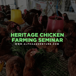 Heritage Chicken Farming Seminar by Alpha Agventure Farms