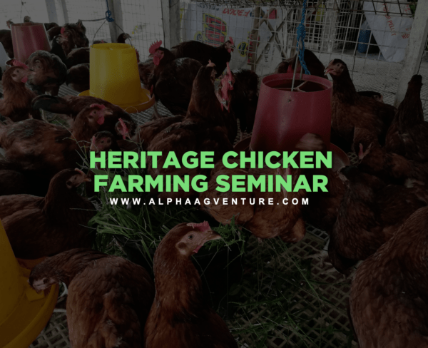 Heritage Chicken Farming Seminar by Alpha Agventure Farms