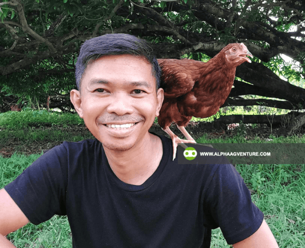 Hire a Chicken Farm Consultant from Alpha Agventure Farms