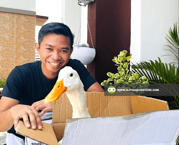 Hire a Duck Farm Consultant from Alpha Agventure Farms