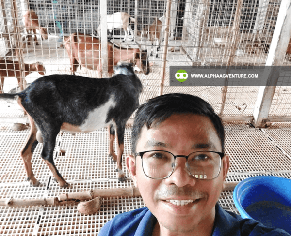 Hire a Goat Farm Consultant from Alpha Agventure Farms