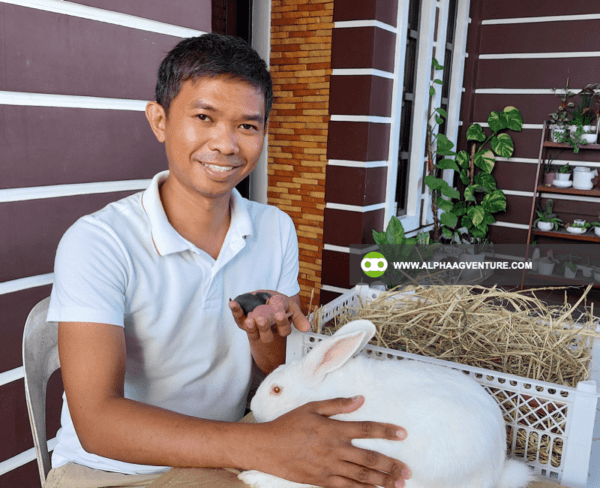 Hire a Rabbit Farm Consultant from Alpha Agventure Farms