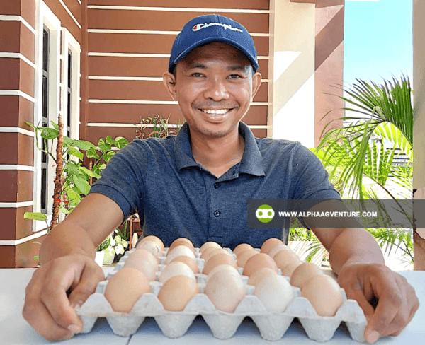 Online Chicken Farming Seminar by Alpha Agventure Farms