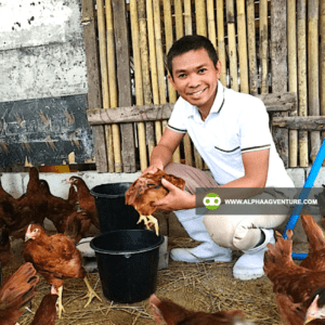 Online Chicken Farming Seminar by Alpha Agventure Farms