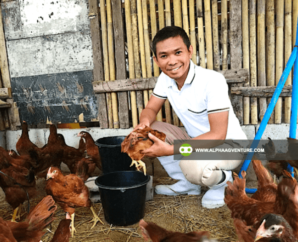 Online Chicken Farming Seminar by Alpha Agventure Farms