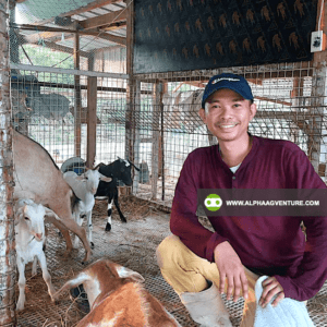 Online Goat Farming Seminar by Alpha Agventure Farms