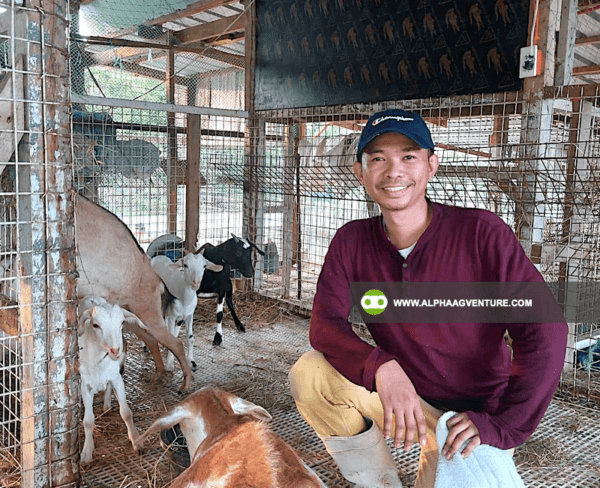 Online Goat Farming Seminar by Alpha Agventure Farms