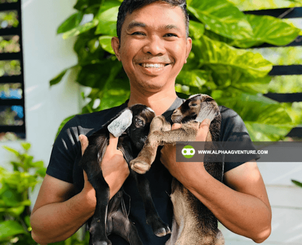 Online Goat Farming Seminar by Alpha Agventure Farms