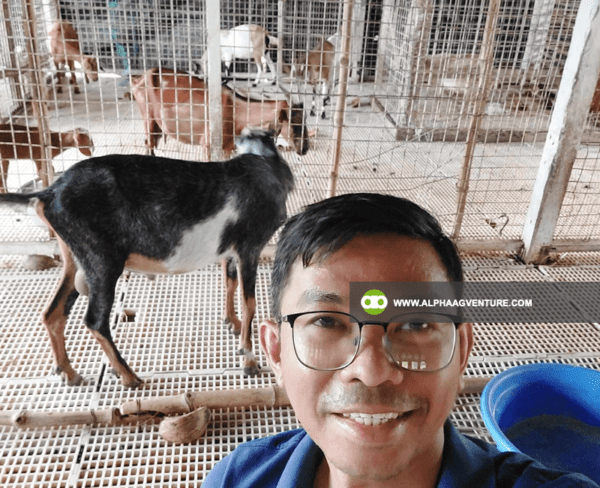 Online Goat Farming Seminar by Alpha Agventure Farms