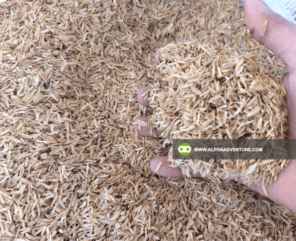 Buy Rice Hull for Sale from Alpha Agventure Farms