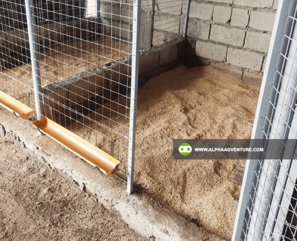 Buy Rice Hull for Sale from Alpha Agventure Farms