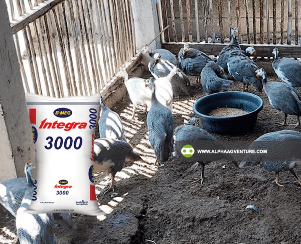 Buy B-MEG Integra 3000 for Sale from Alpha Agventure Farms