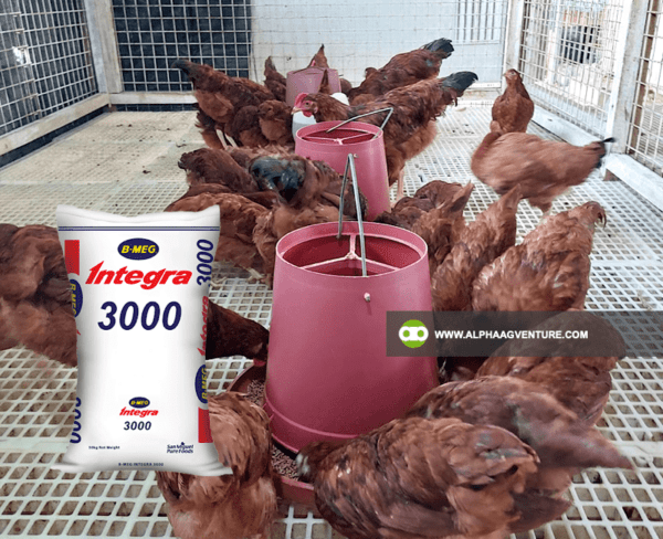 Buy B-MEG Integra 3000 for Sale from Alpha Agventure Farms