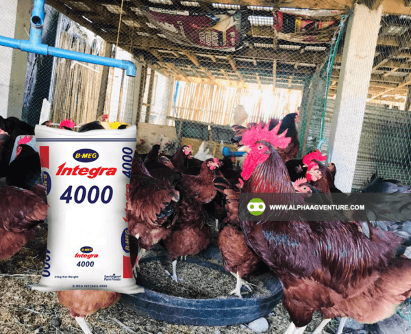 Buy B-MEG Integra 4000 for Sale from Alpha Agventure Farms