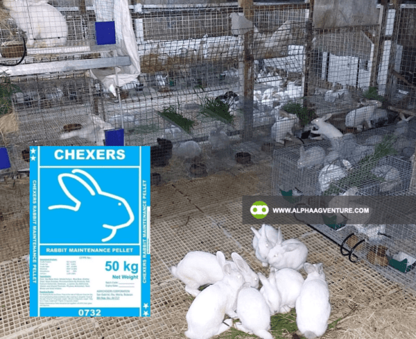 Buy Chexers Rabbit Pellets for Sale from Alpha Agventure Farms