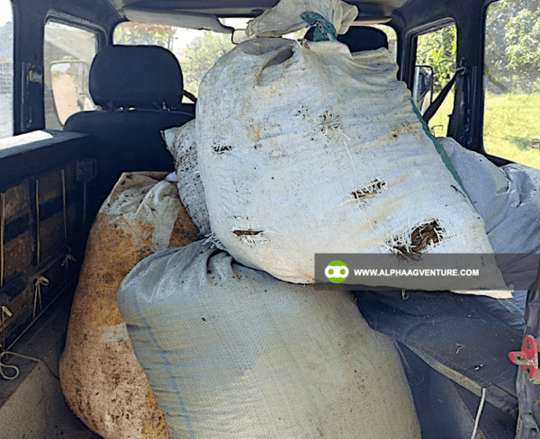 Goat Manure Fertilizer for Sale from Alpha Agventure Farms