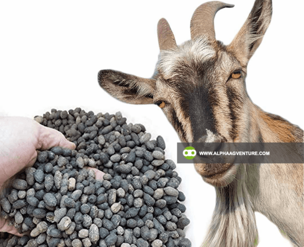 Goat Manure Fertilizer for Sale from Alpha Agventure Farms