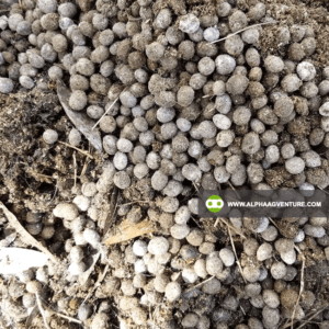 Goat Manure Fertilizer for Sale from Alpha Agventure Farms