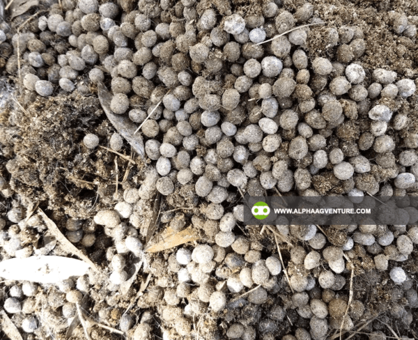 Goat Manure Fertilizer for Sale from Alpha Agventure Farms