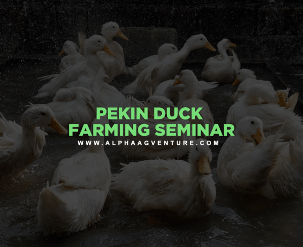 Pekin Duck Farming Seminar