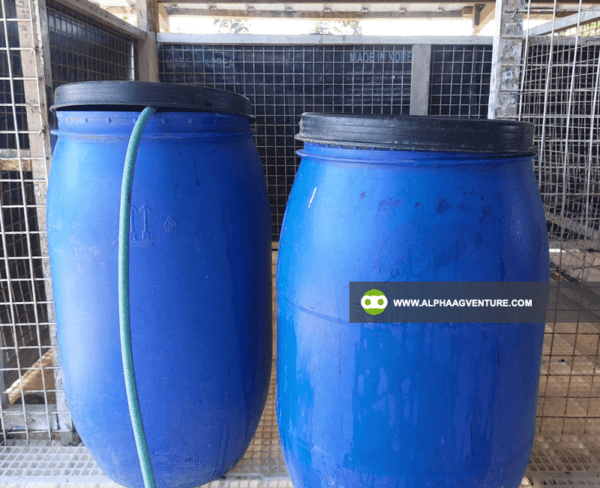 Buy Drums for Sale by Alpha Agventure Farms