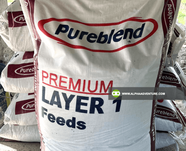 Buy Pureblend Layer 1 for Sale from Alpha Agventure Farms