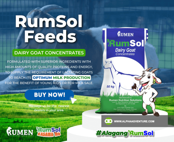 Buy Rumsol Dairy Goat Concentrates for Sale from Alpha Agventure Farms