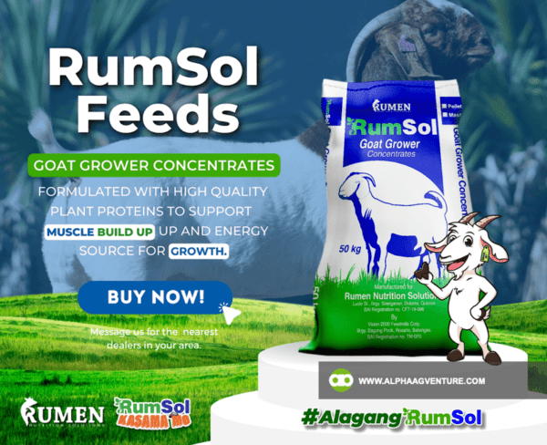 Buy Rumsol Goat Grower Concentrates for Sale from Alpha Agventure Farms