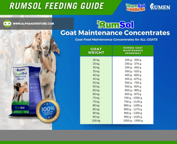 Buy Rumsol Goat Maintenance Feed Pellet for Sale from Alpha Agventure Farms