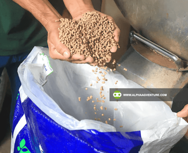 Buy Rumsol Goat Maintenance Feed Pellet for Sale from Alpha Agventure Farms