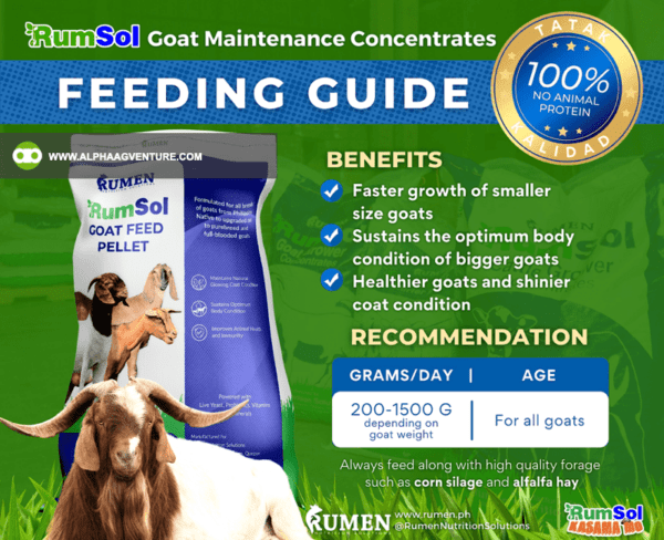 Buy Rumsol Goat Maintenance Feed Pellet for Sale from Alpha Agventure Farms